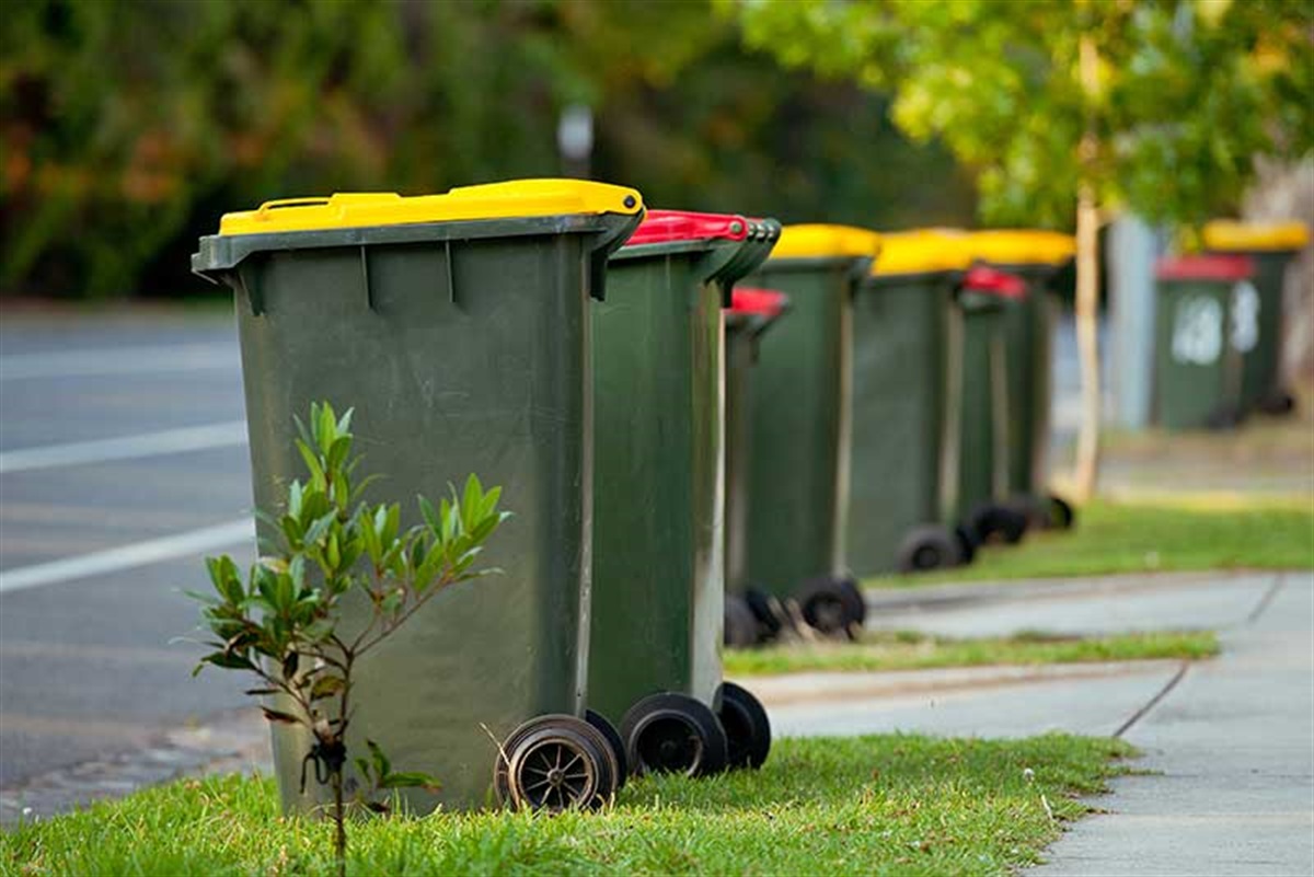 Putting Your Bins Out QueanbeyanPalerang