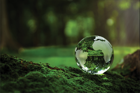 Glass globe of the world sitting on green grass