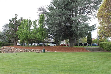 Sunken Gardens - grassed area