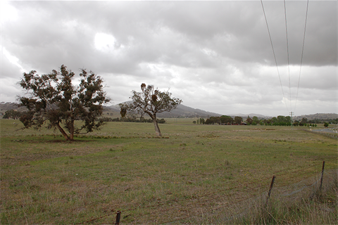 Photo of proposed Memorial Park location on Old Cooma Road