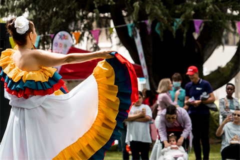 Multicultural festival in Queanbeyan - a dancer and community