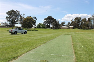 Allan McGrath Reserve - synthetic cricket pitch