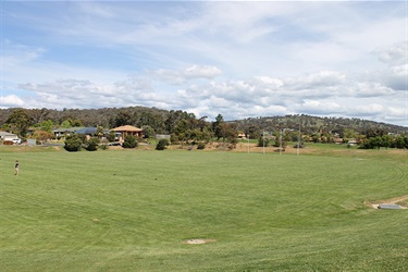 Halloran Oval - playing fields