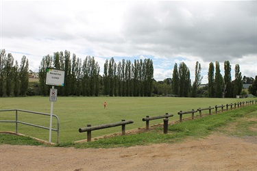 Playing fields at Blundell Park