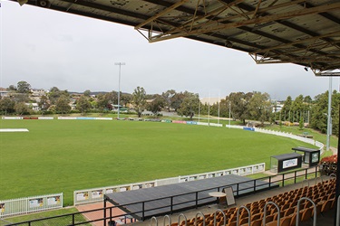 View of pitch from Grandstand Margaret Donoghoe