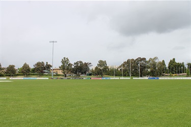 Playing surface Margaret Donoghoe Oval