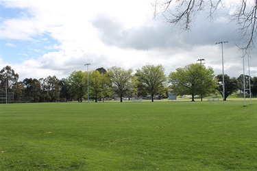 Playing surface Campese Field at Taylor Park