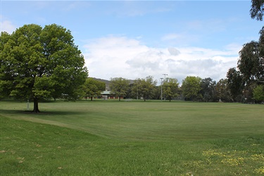 Playing field - image 2 Campese Field at Taylor Park