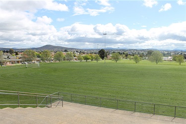 Wright Park playing fields with grandstand