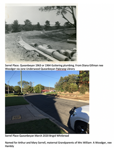 1963 or 1964 and 2020