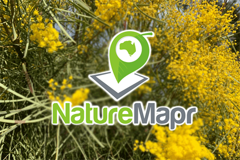 naturemapr.png