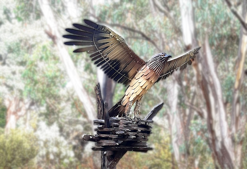 Hero image_David Smith_Birds eye view.png