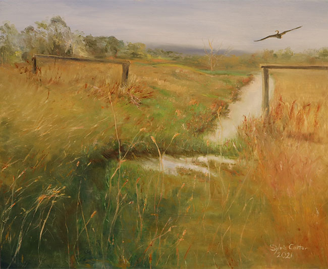 Sylvie Carter, Wildgrasses and Duck in Flight at Wingecarribee Creek