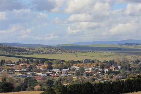 Braidwood township overview