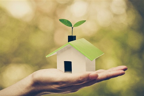 Green house on persons hand