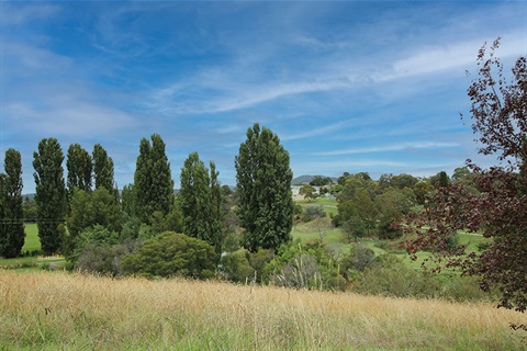 View of location for new Sister City Botanical Gardens