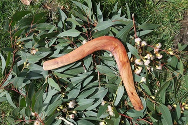 14-Daniel-Williams-Hunting-Boomerang-2023-web.jpg