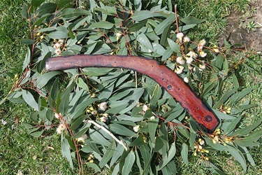 20-Daniel-Williams-Ceremonial-Boomerang-2023-web.jpg