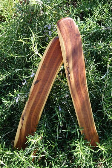 41-Joel-Bulger-Mulga-Clapsticks-2023-web.jpg