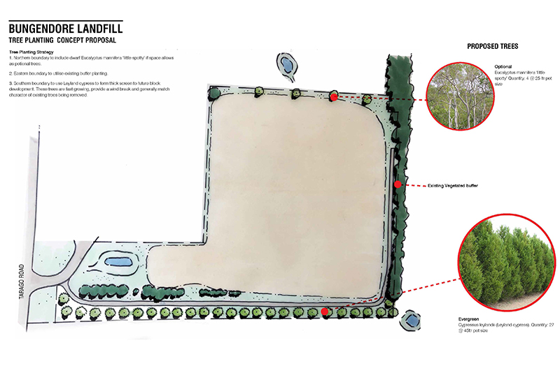 Image showing types of trees to be planted at Bungendore landfile reinstatement