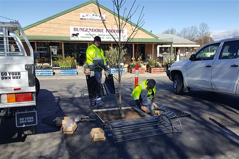 Bungendore streetscape improvements tree planting.jpg