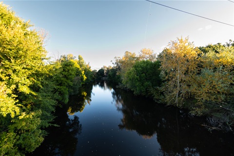 Queanbeyan River between suspension bridge and jumping creek