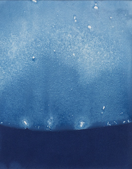 Untitled - cyanotype print on cotton paper by Jane Duong