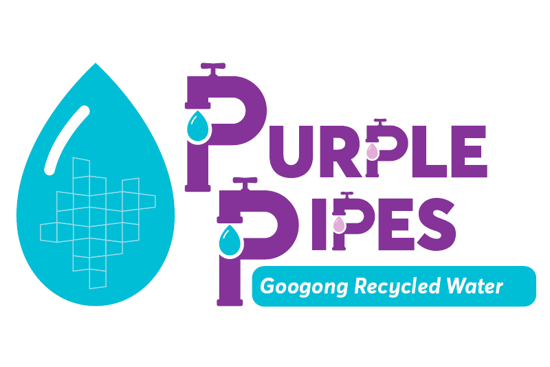 Purple Pipes branding 